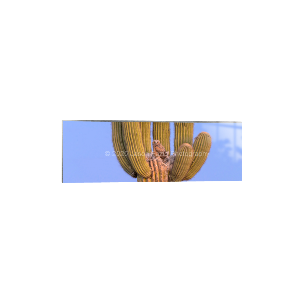 ptq_13_2_0_1637_10237_3412_0_false_ffffff_0_0_f63d229ffefd4f59866965af16271839.png