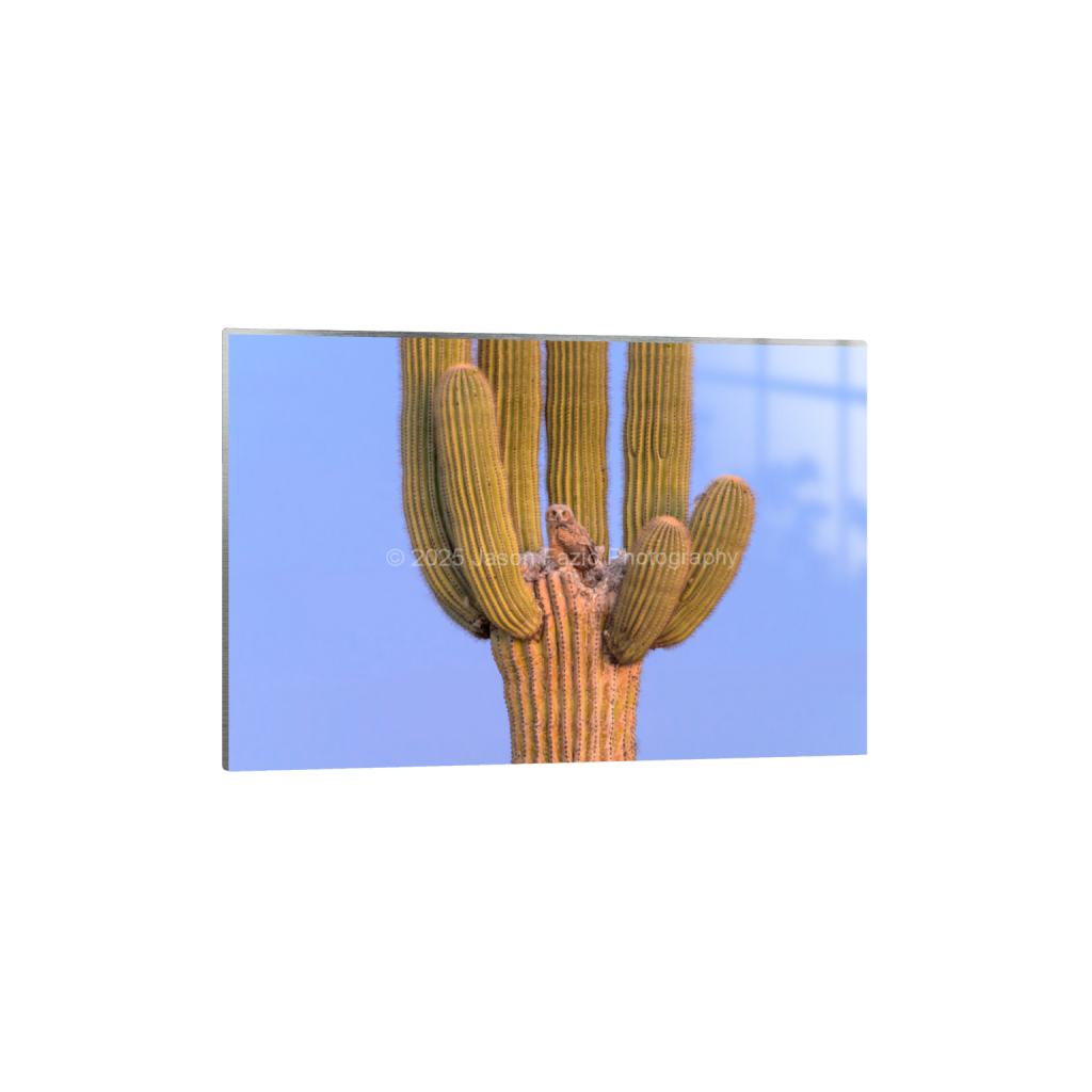 ptq_13_3_0_0_10237_6824_0_false_ffffff_0_0_f63d229ffefd4f59866965af16271839.png