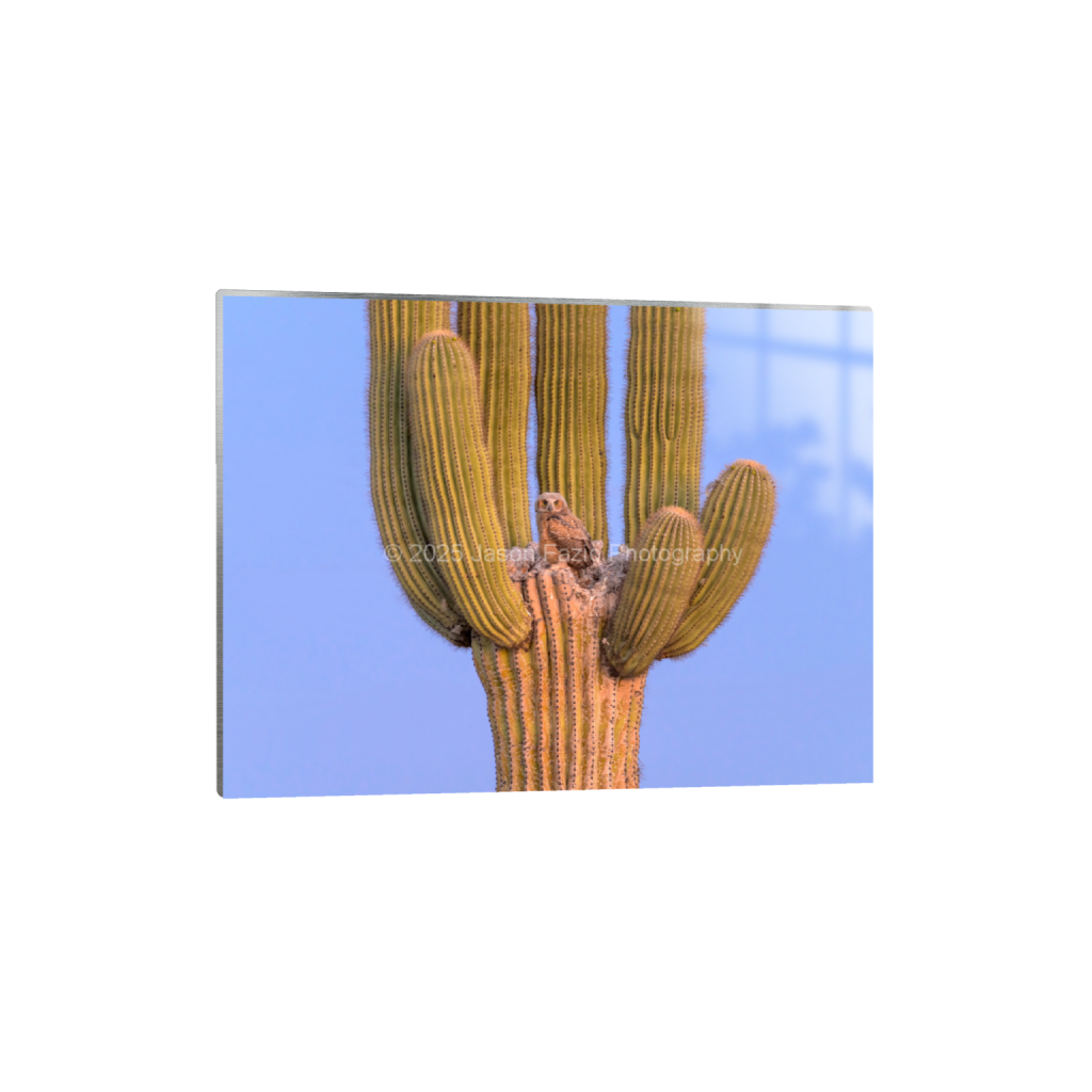 ptq_13_5_682_0_9100_6825_0_false_ffffff_0_0_f63d229ffefd4f59866965af16271839.png