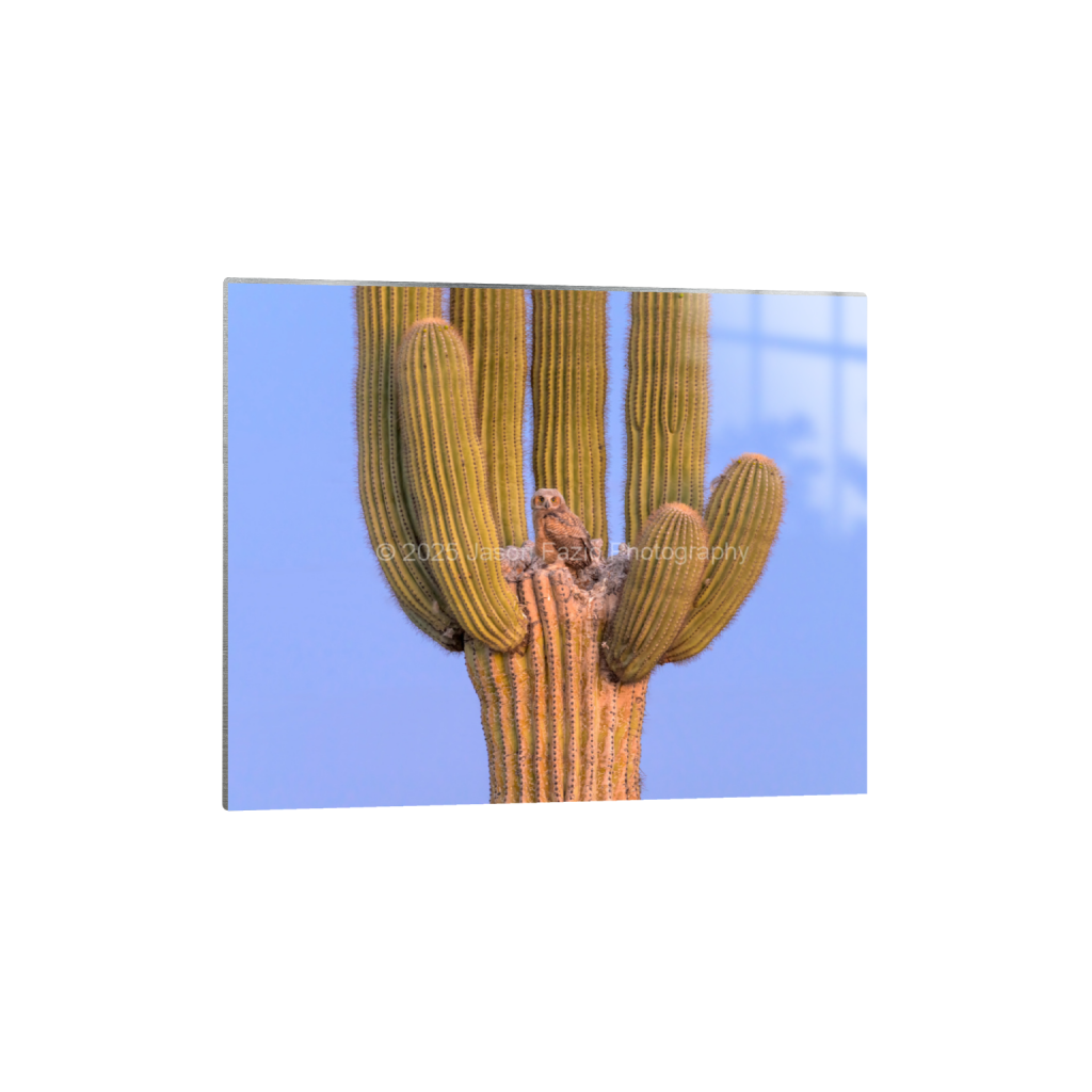 ptq_13_6_989_0_8531_6825_0_false_ffffff_0_0_f63d229ffefd4f59866965af16271839.png