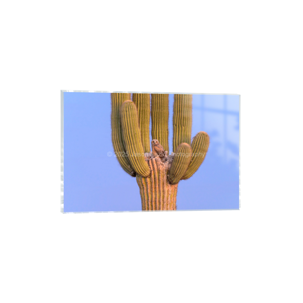 ptq_17_3_0_0_10237_6824_0_false_ffffff_0_0_f63d229ffefd4f59866965af16271839.png