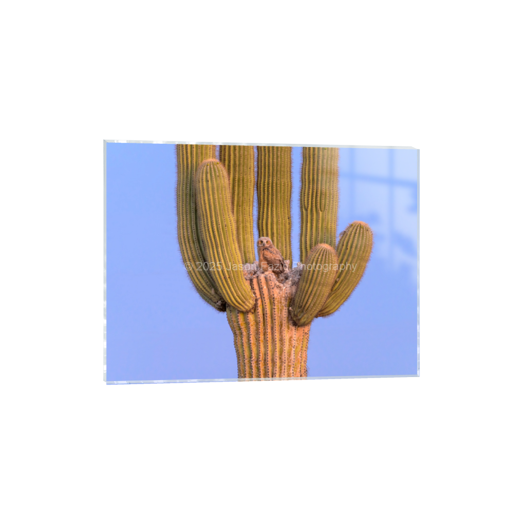 ptq_17_5_682_0_9100_6825_0_false_ffffff_0_0_f63d229ffefd4f59866965af16271839.png
