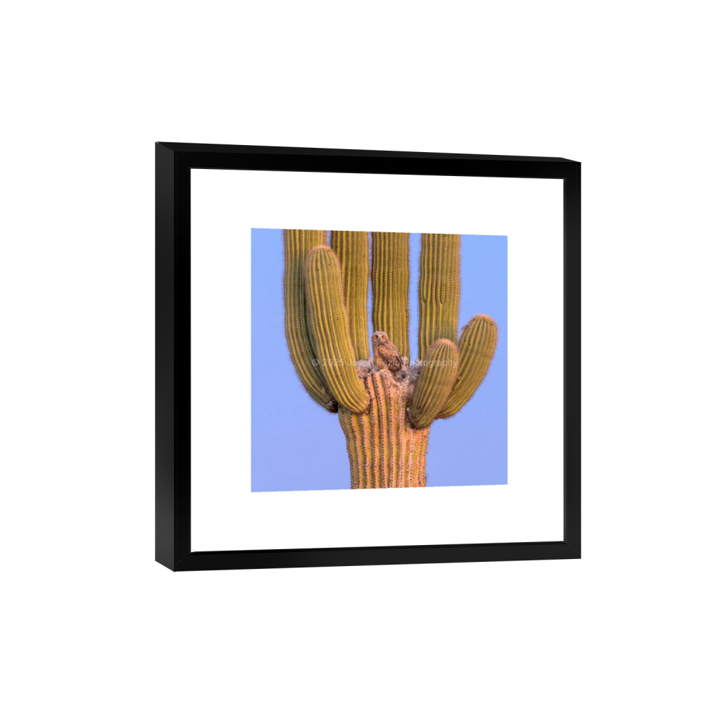 ptq_45_0_1774_0_6825_6825_0_false_ffffff_0_0_f63d229ffefd4f59866965af16271839.png