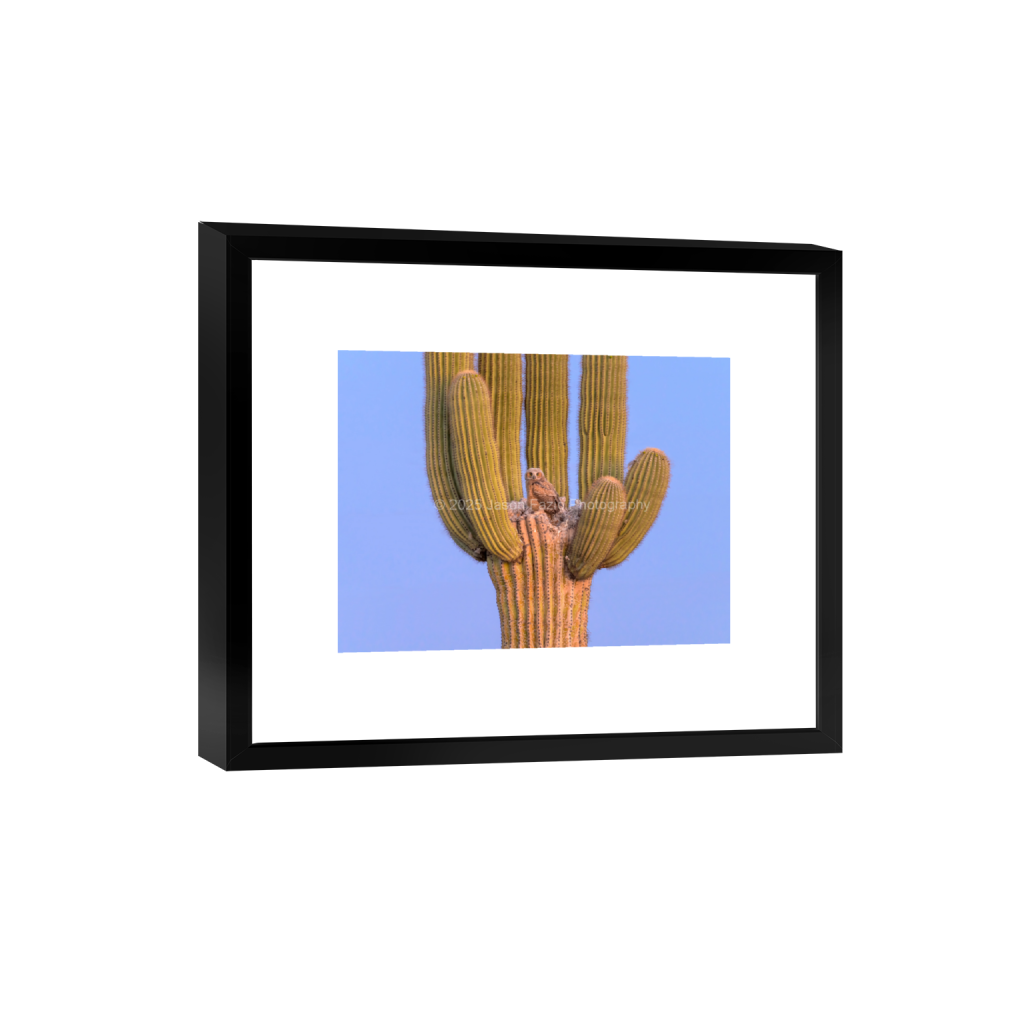 ptq_45_5_682_0_9100_6825_0_false_ffffff_0_0_f63d229ffefd4f59866965af16271839.png
