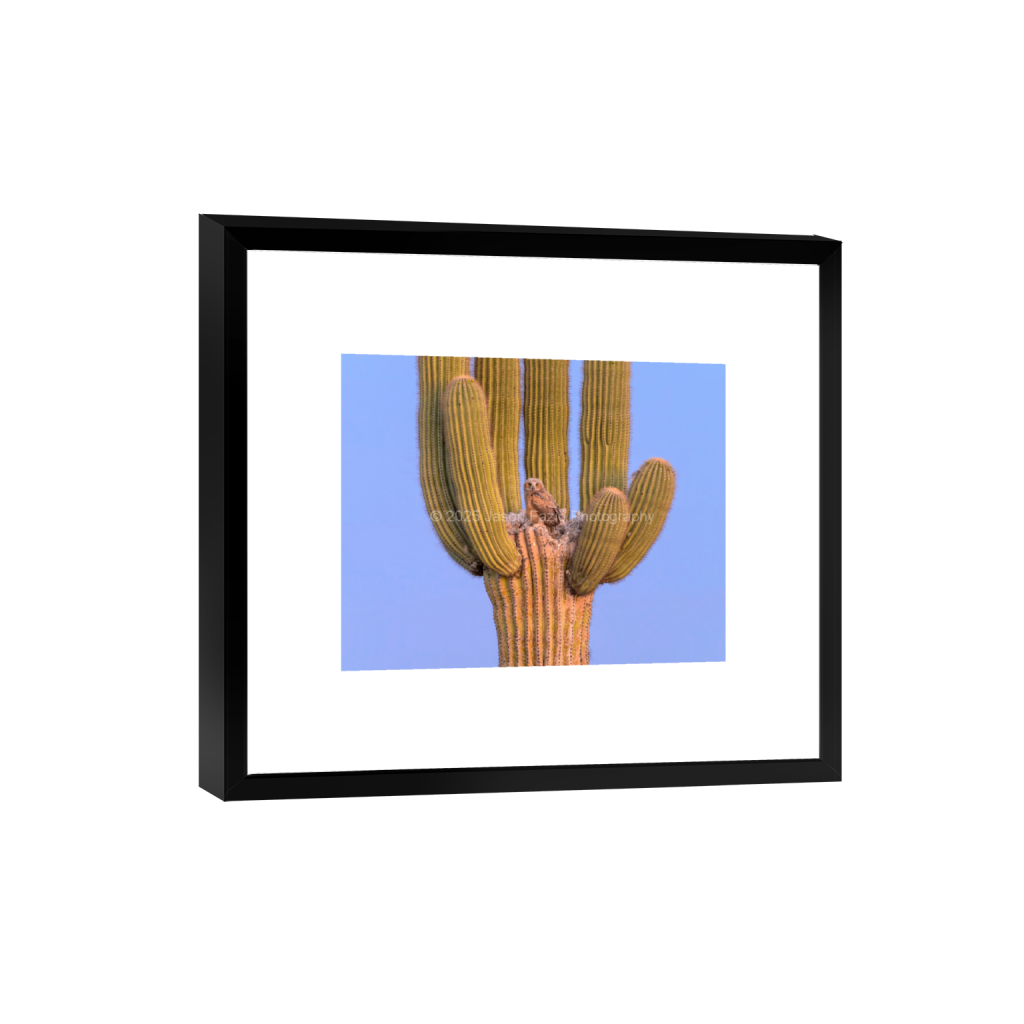 ptq_45_6_989_0_8531_6825_0_false_ffffff_0_0_f63d229ffefd4f59866965af16271839.png