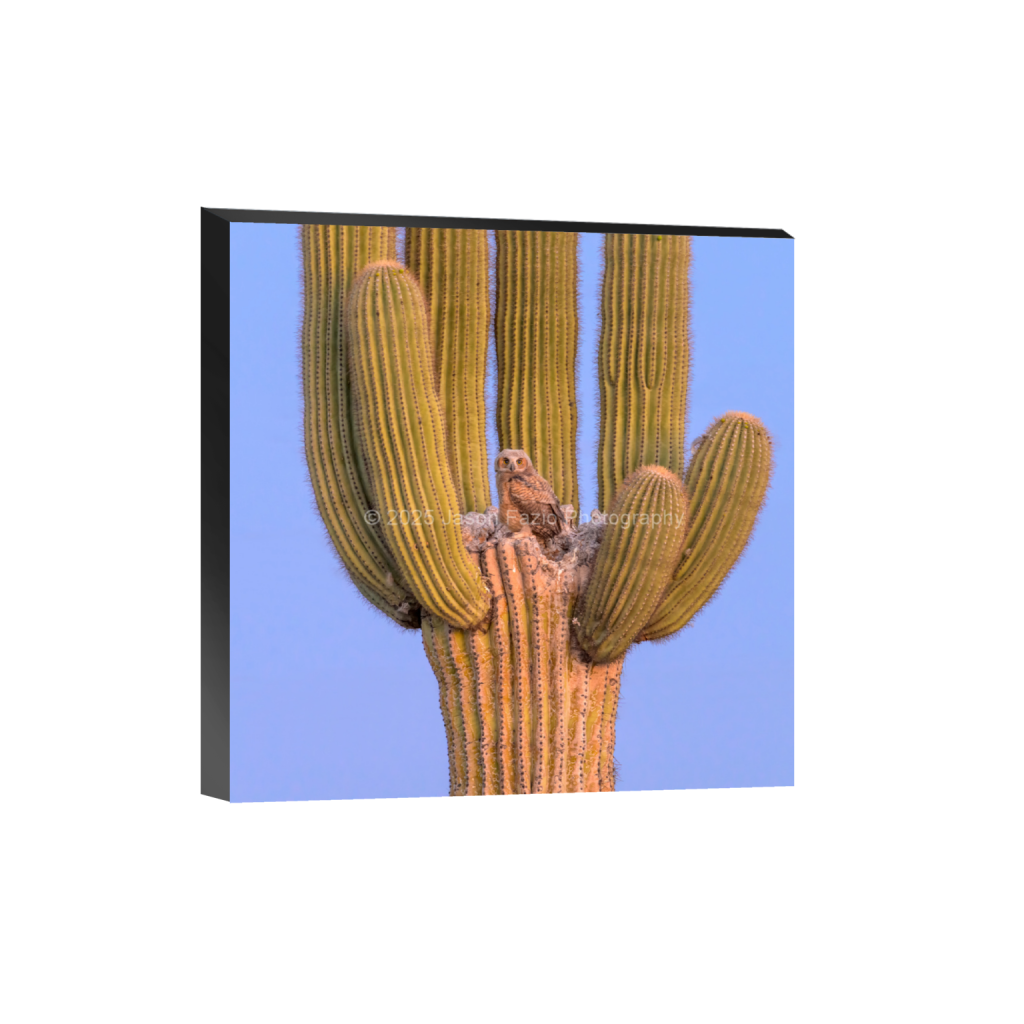 ptq_32_0_1774_0_6825_6825_0_false_ffffff_0_0_f63d229ffefd4f59866965af16271839.png