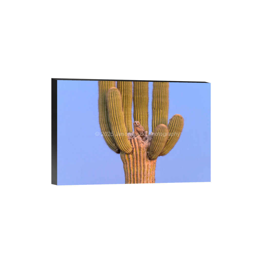 ptq_32_3_0_0_10237_6824_0_false_ffffff_0_0_f63d229ffefd4f59866965af16271839.png