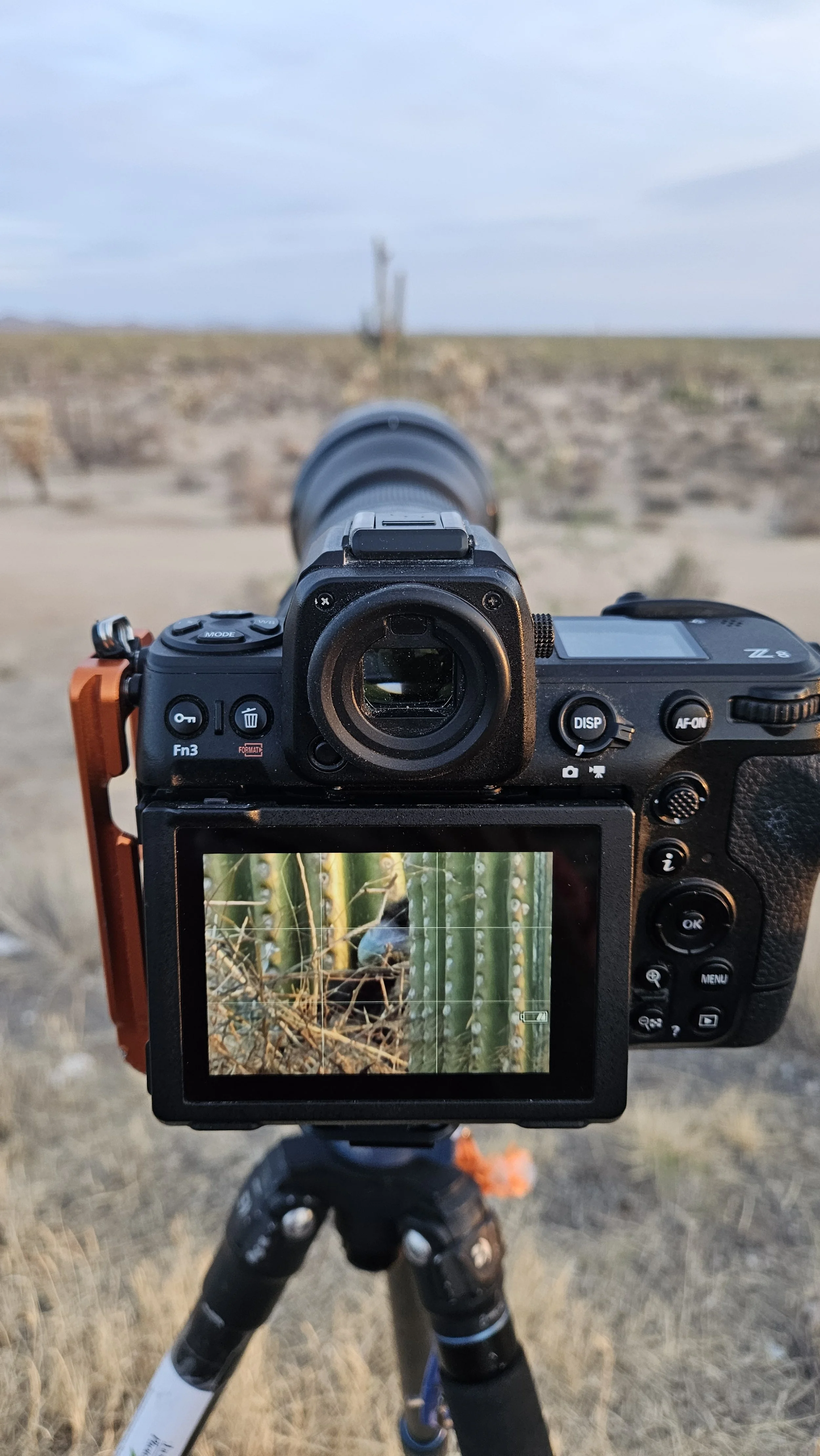 Jason Fazio - May 04, 2025-05-44-23.jpg