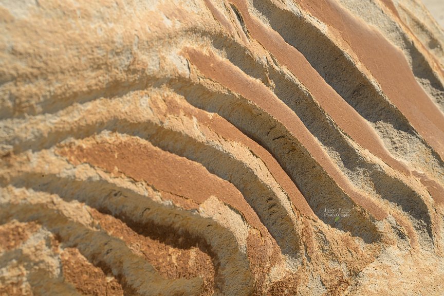Jason Fazio Photography abstract image at Alien Egg Hatchery