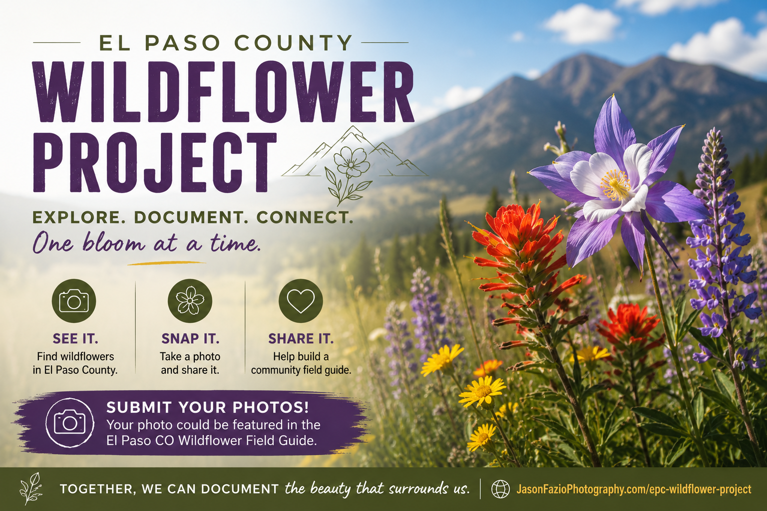 A New Project Is Blooming