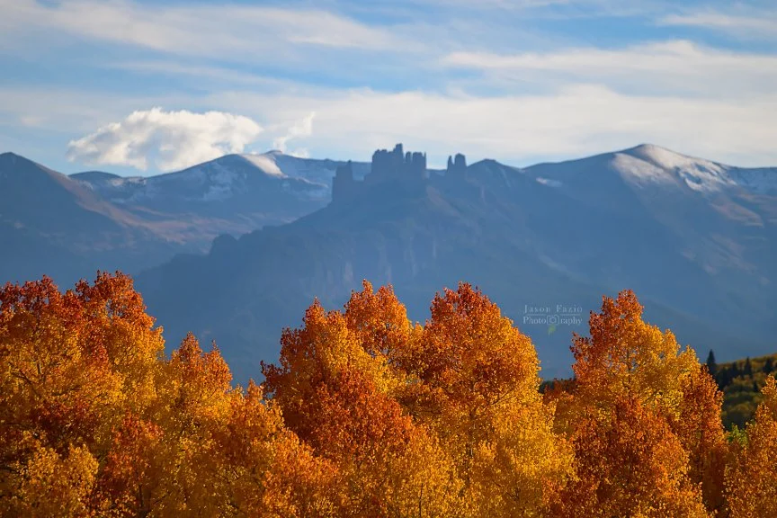 Colorado Autumn Landscape | Aspens in Focus