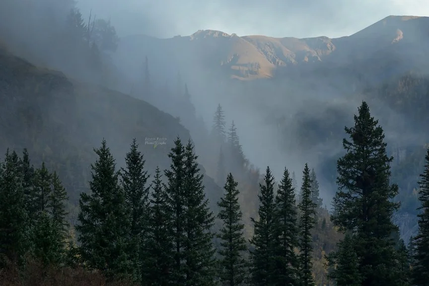 Mountains Through the Morning Fog | Highway 550, Colorado