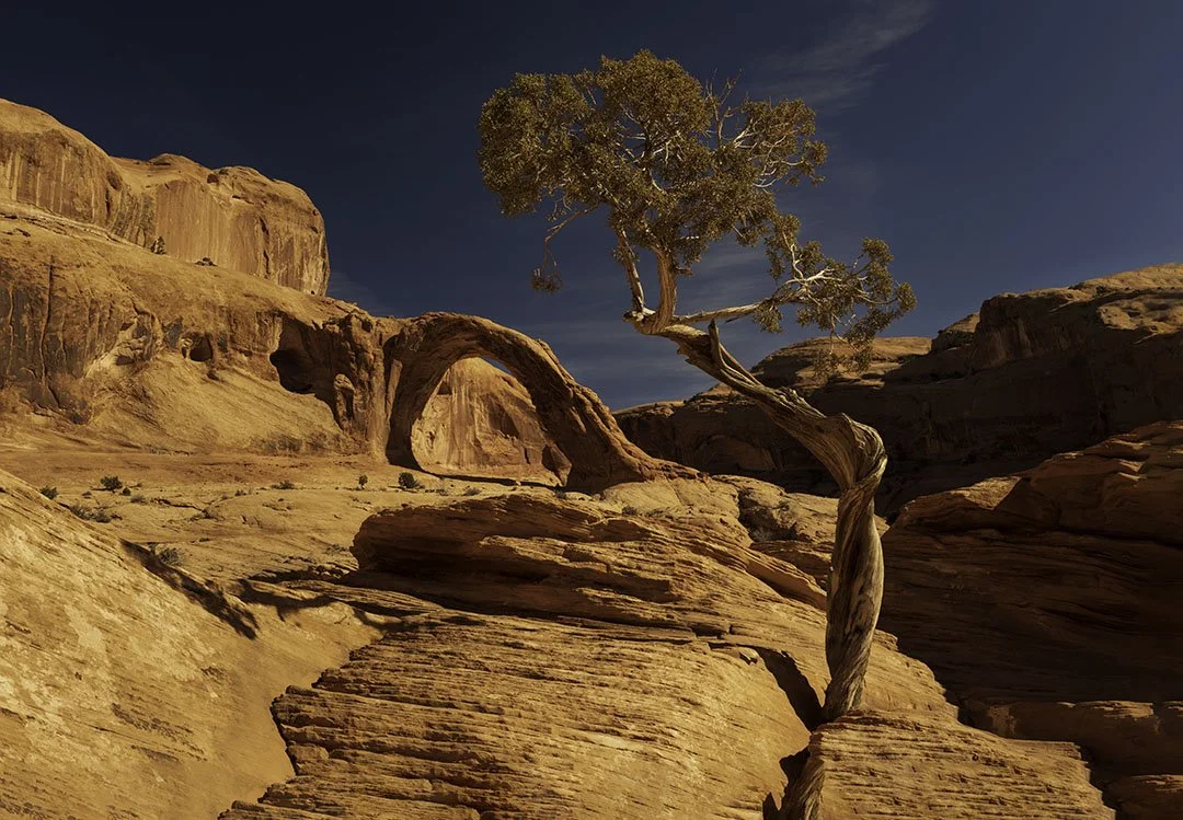 Jason Fazio - February 10, 2023-11-08-45-Edit copy.jpg