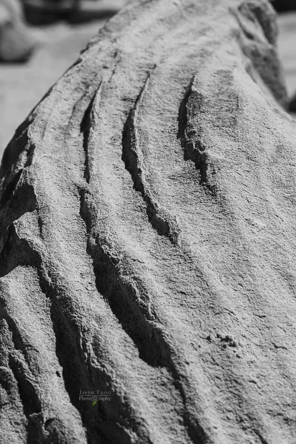 Alien egg hatchery abstract