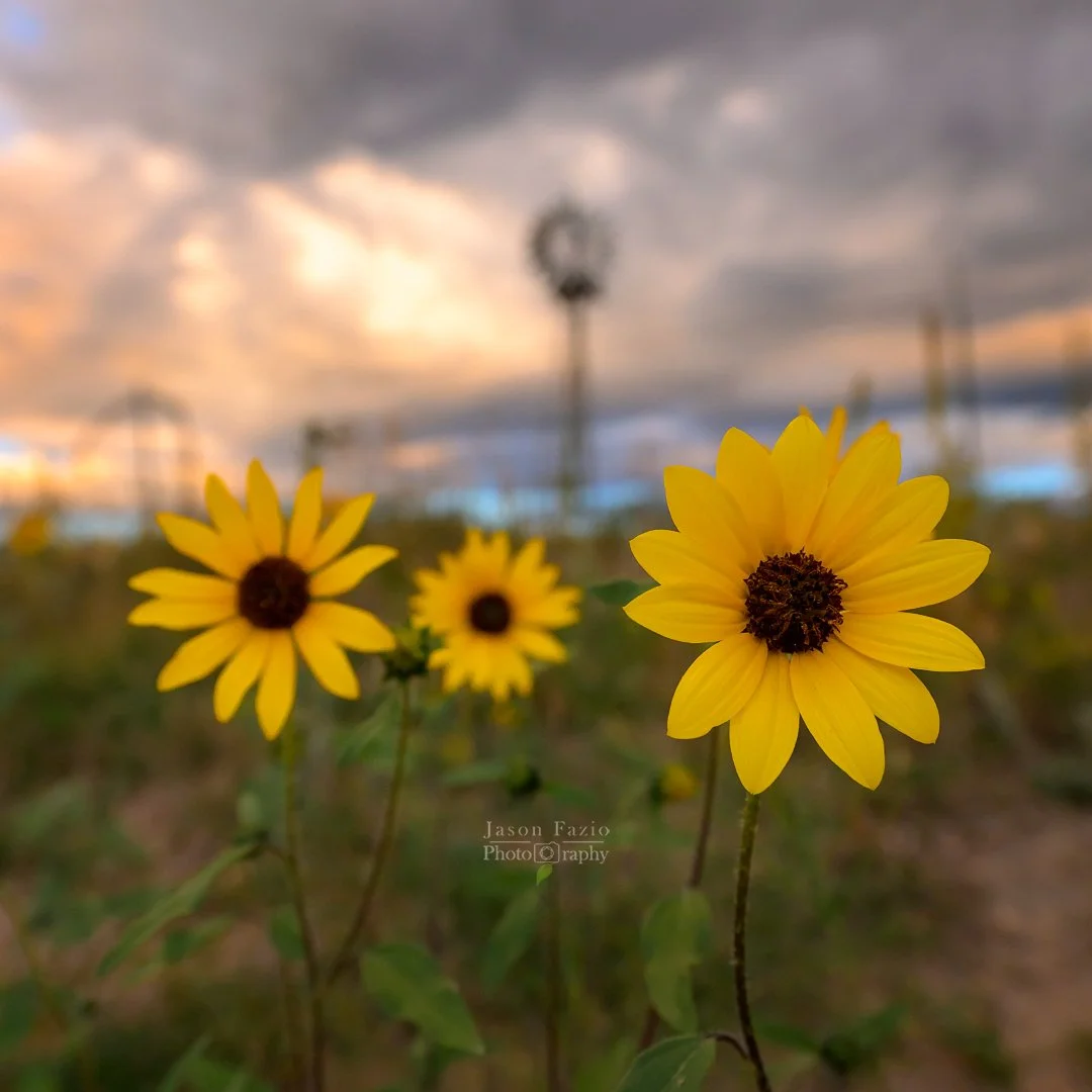 Jason Fazio - August 22, 2024-05-28-52-FB post - Square.jpg