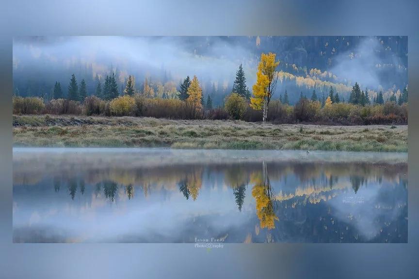 Fog drifts through golden autumn aspens reflected in the calm water of Crystal Lake, Colorado.