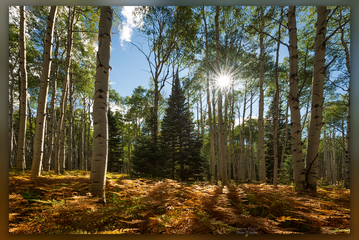 Jason Fazio - September 19, 2022-15-29-12-HDR-Edit_Facebook_1200x801_U_100.png