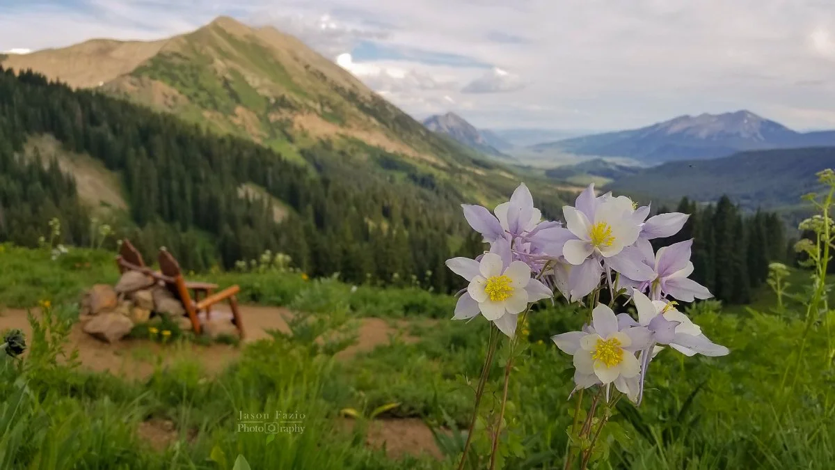 20190802_175115-Enhanced_Original ratio_1200x675_U_180.jpg