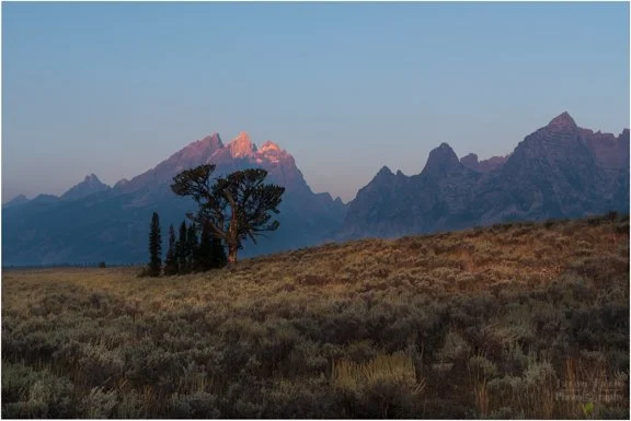 Jason Fazio - September 07, 2020-06-12-44-HDR.jpg