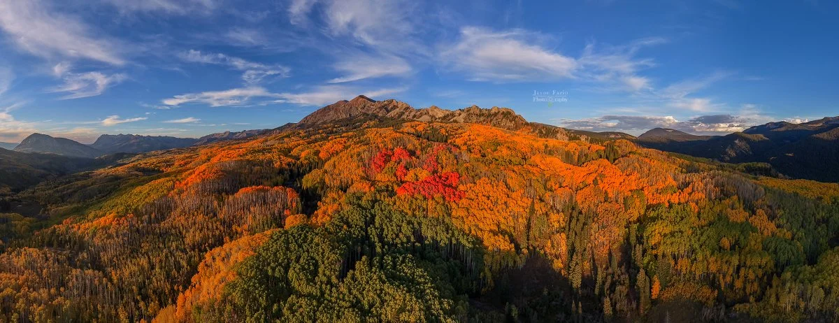 Aerial panorama of brilliant autumn aspen forests across Kebler Pass near Crested Butte, Colorado, illuminated by evening light.
