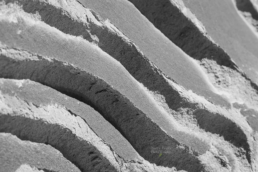 Alien egg hatchery abstract