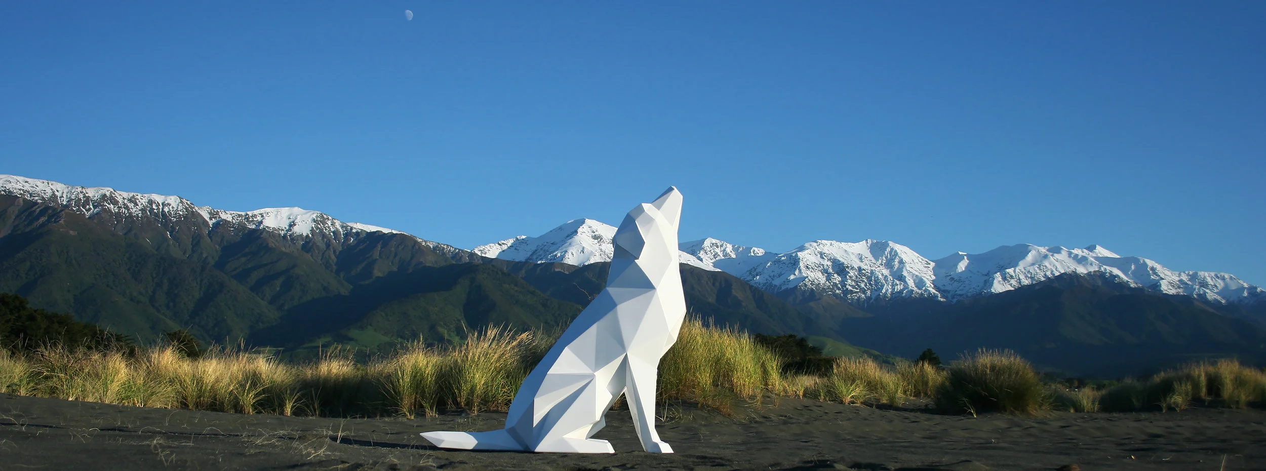 GoldenBoy by Ben Foster - Kaikoura coast