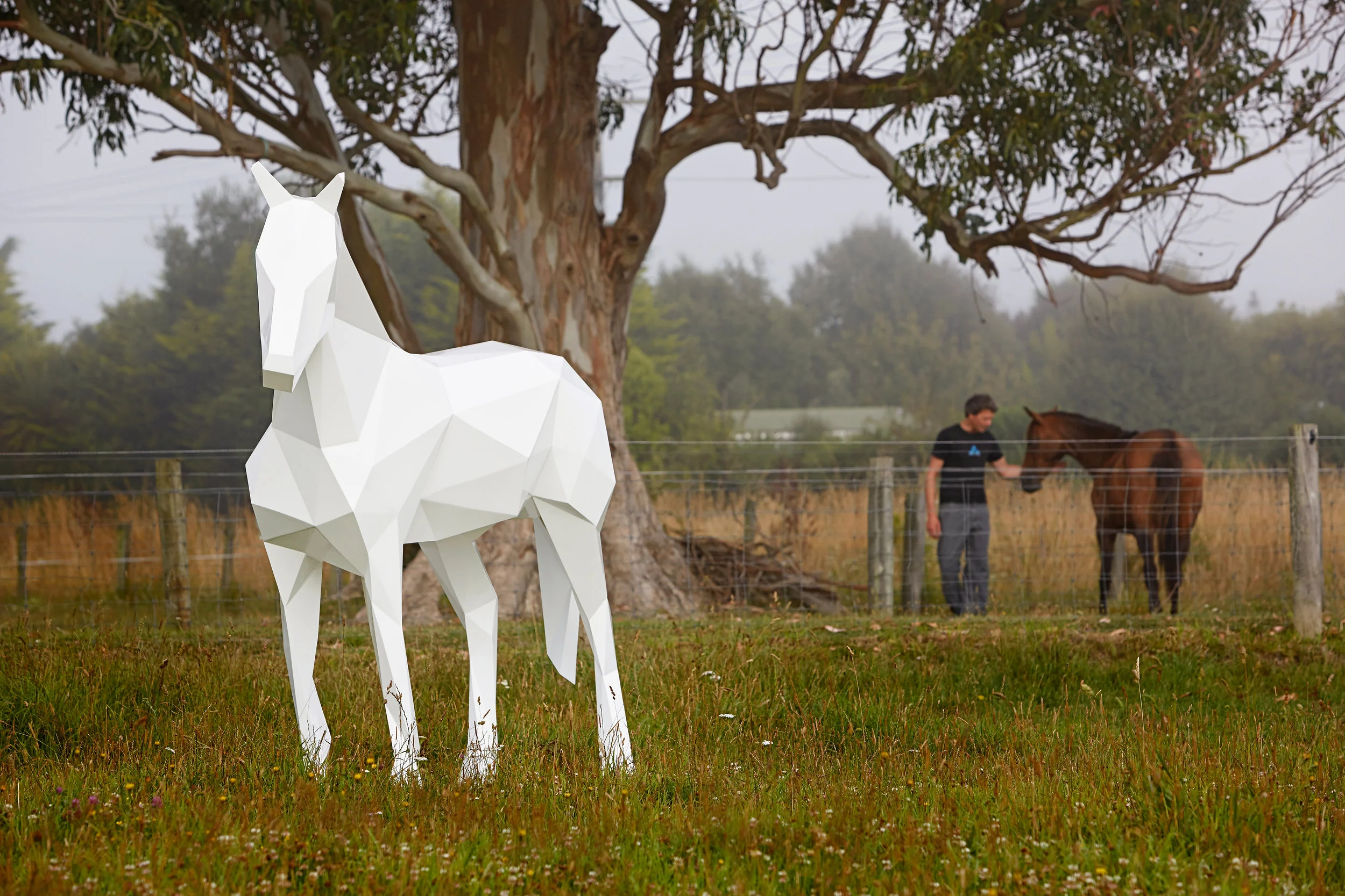 Ben Foster and the White Horse 