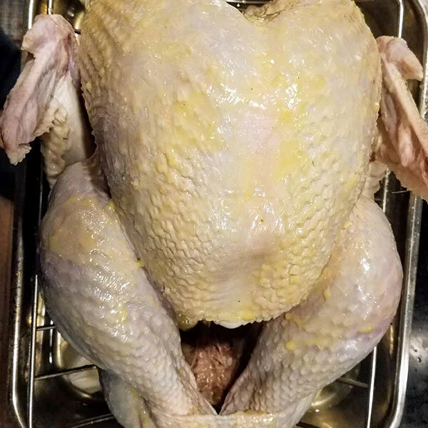 turkey.jpg