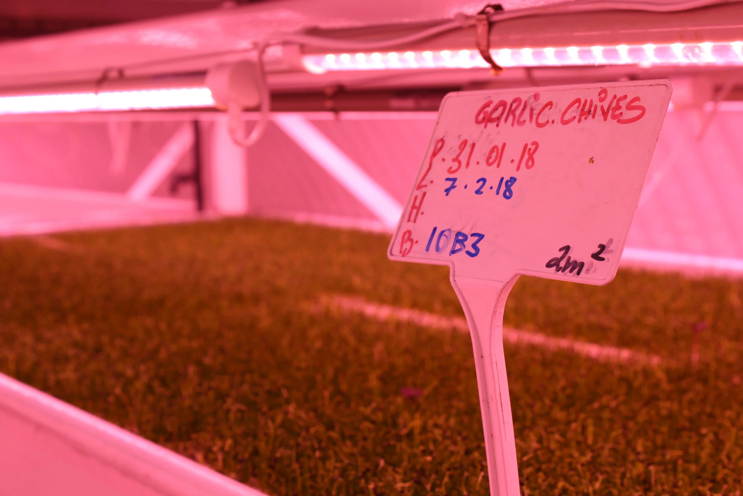 What’s Growing Underground