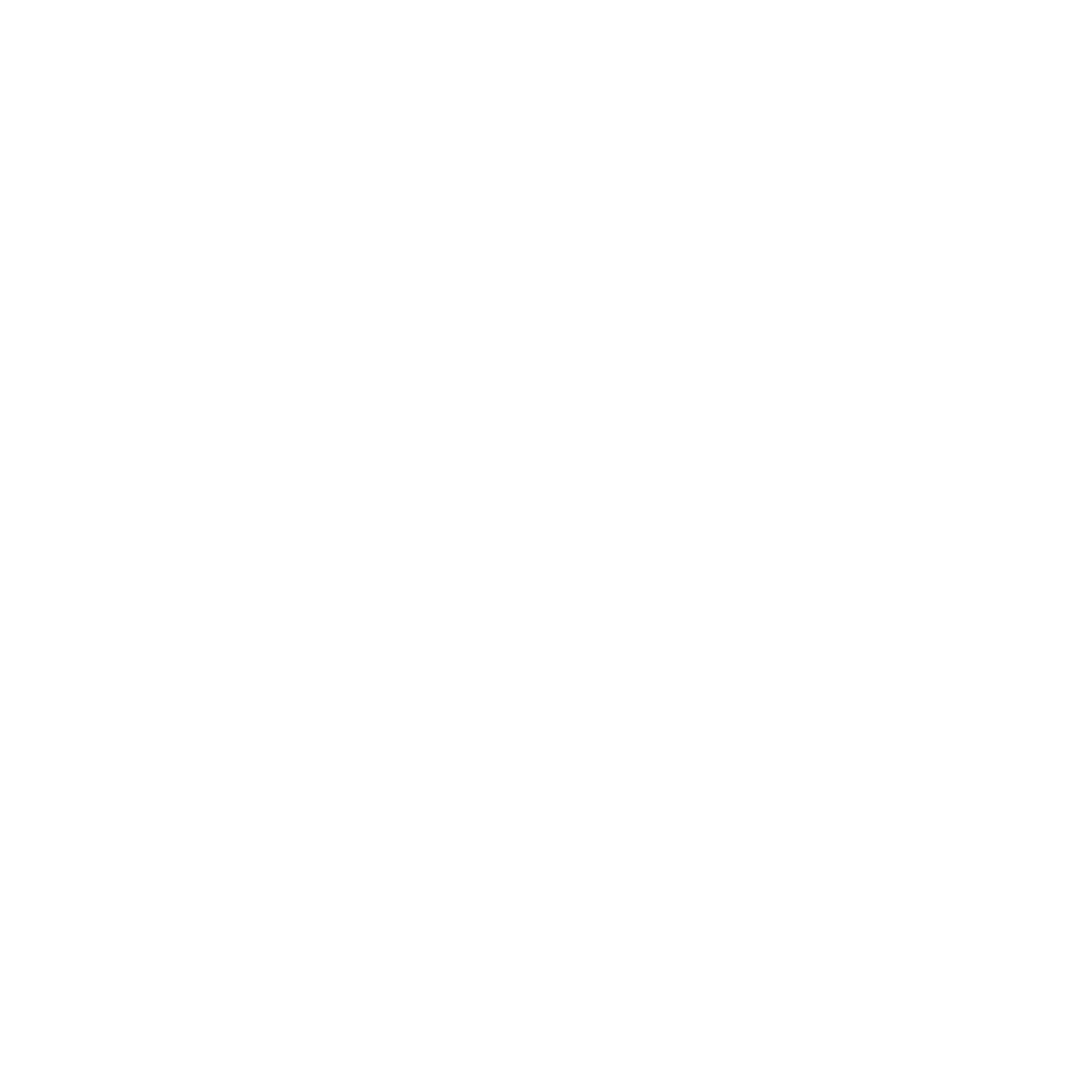 ICON-UR-TRANS-VAI (1).png
