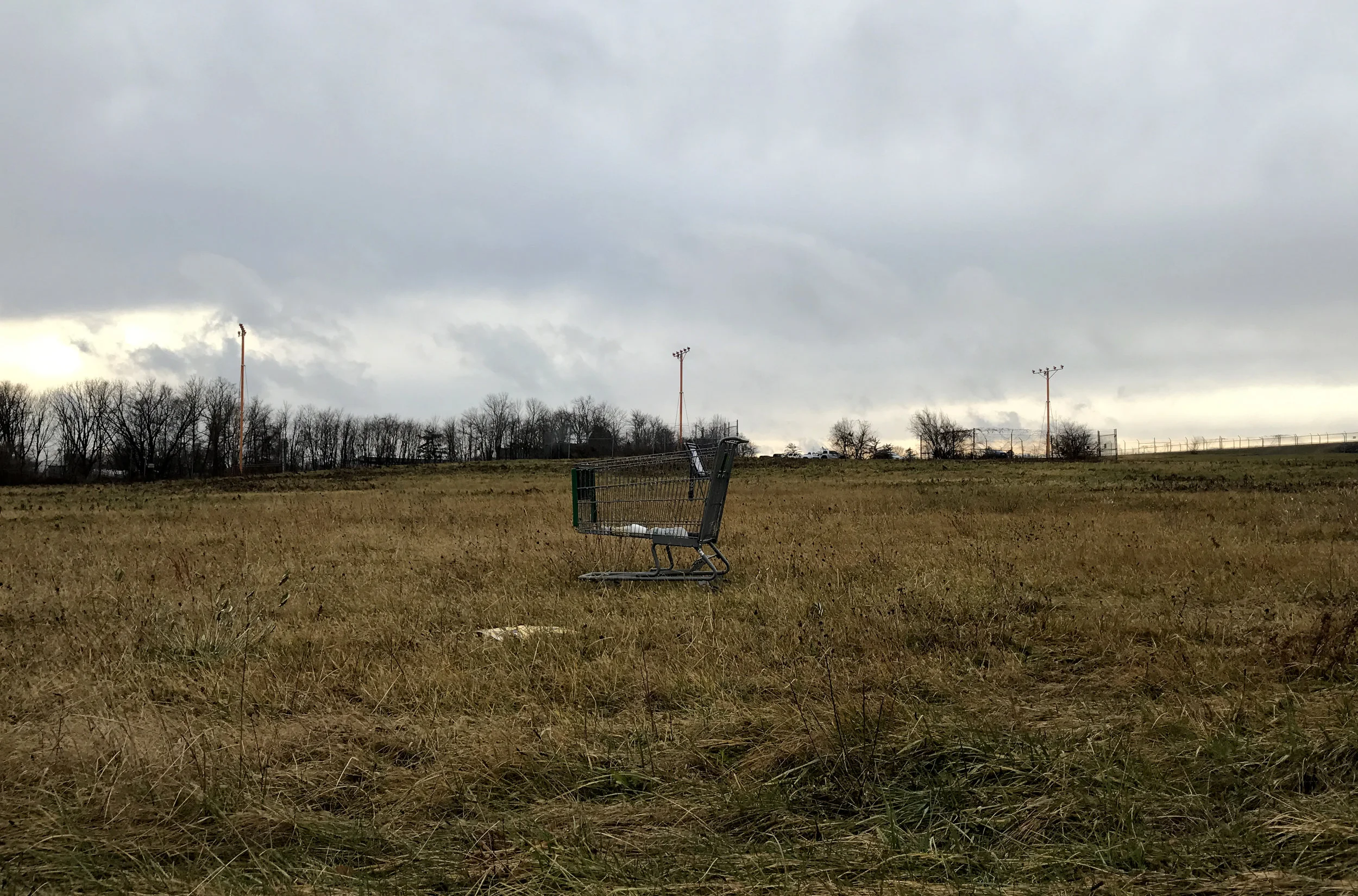 Cart AfieldCartina’s world, Willow Grove, PA