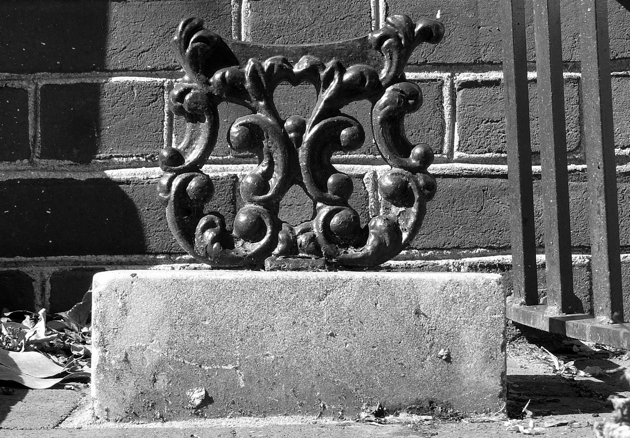 Ornamental abrade, Philadelphia