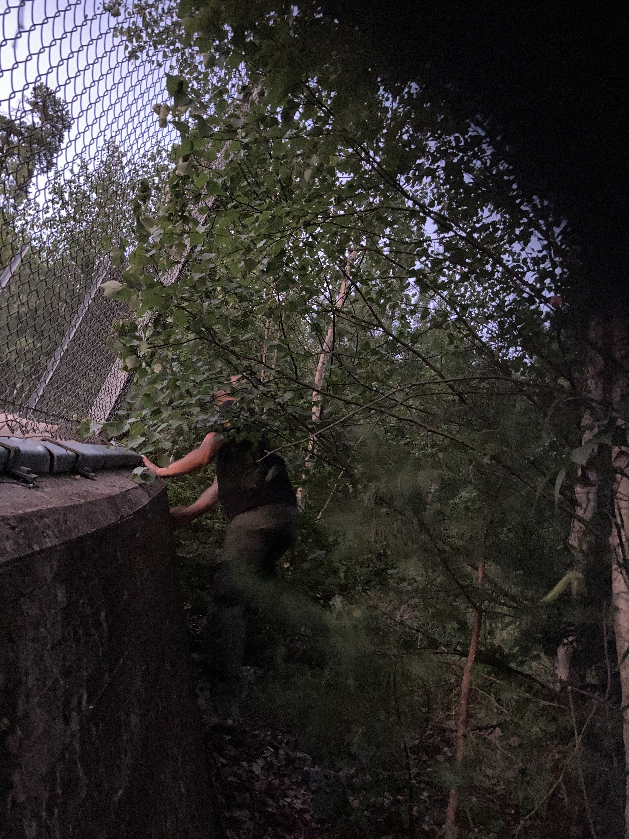 staketskogen7.jpeg