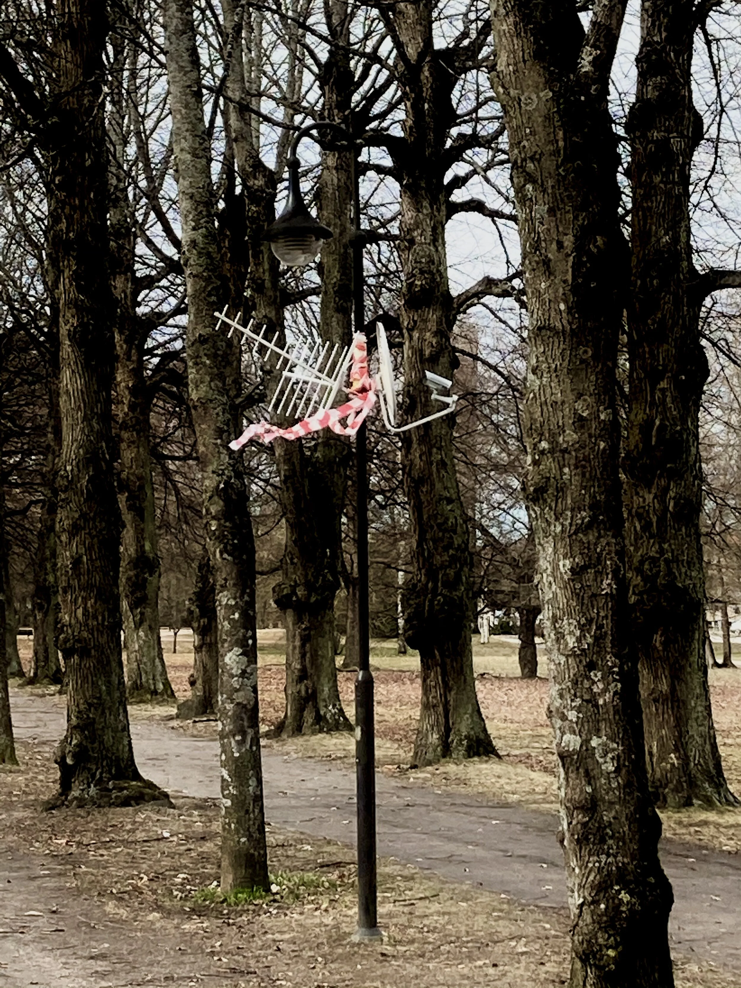 THE PAST IS THE ONLY PRESENT HERE (V.2)