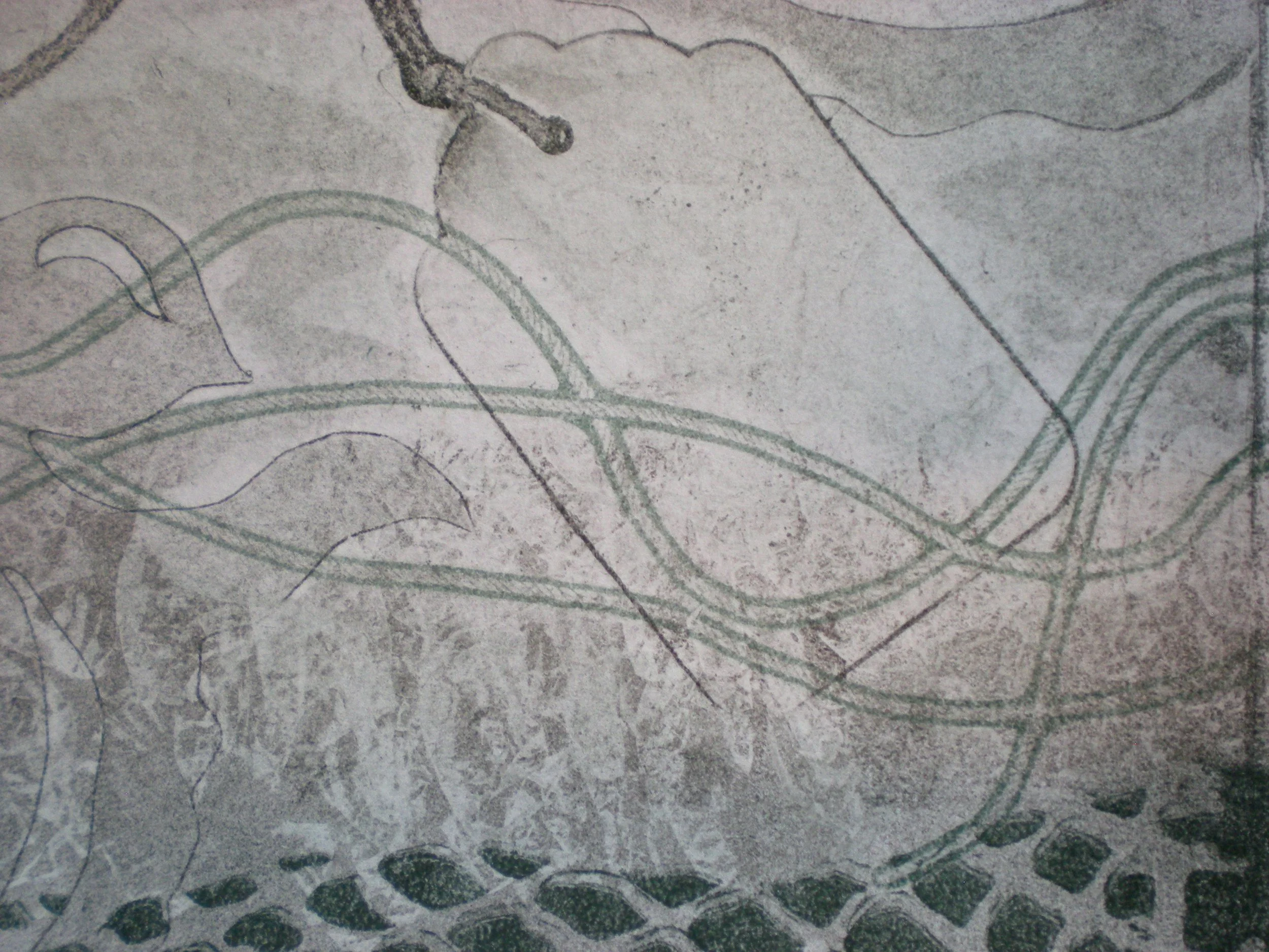 DSCN3341 2.JPG