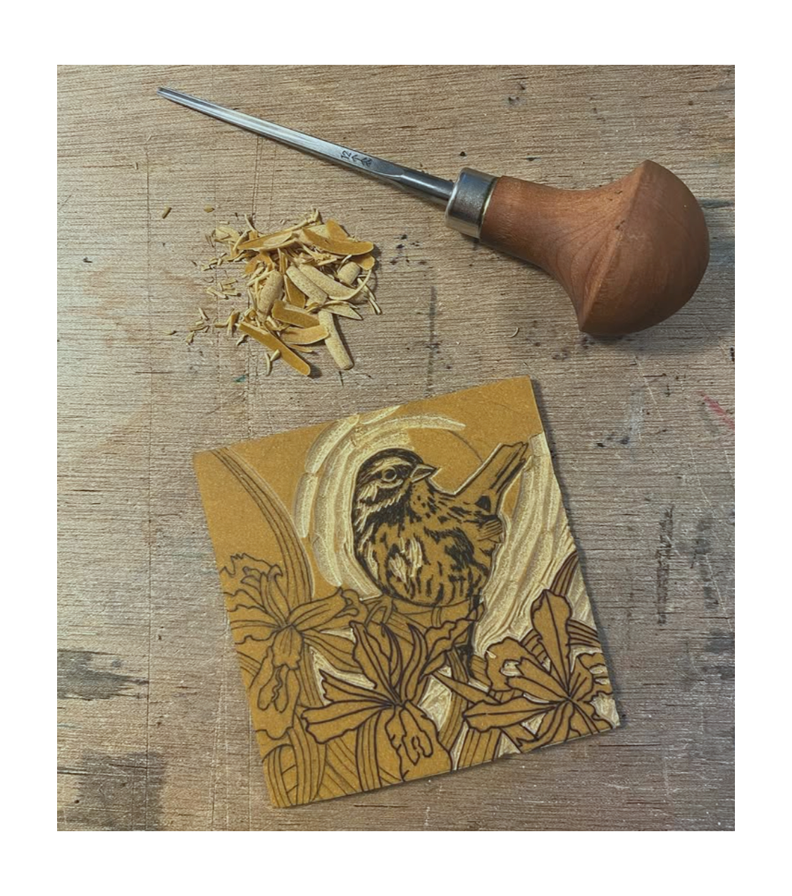 Linocut classes Hardwick, Vermont!