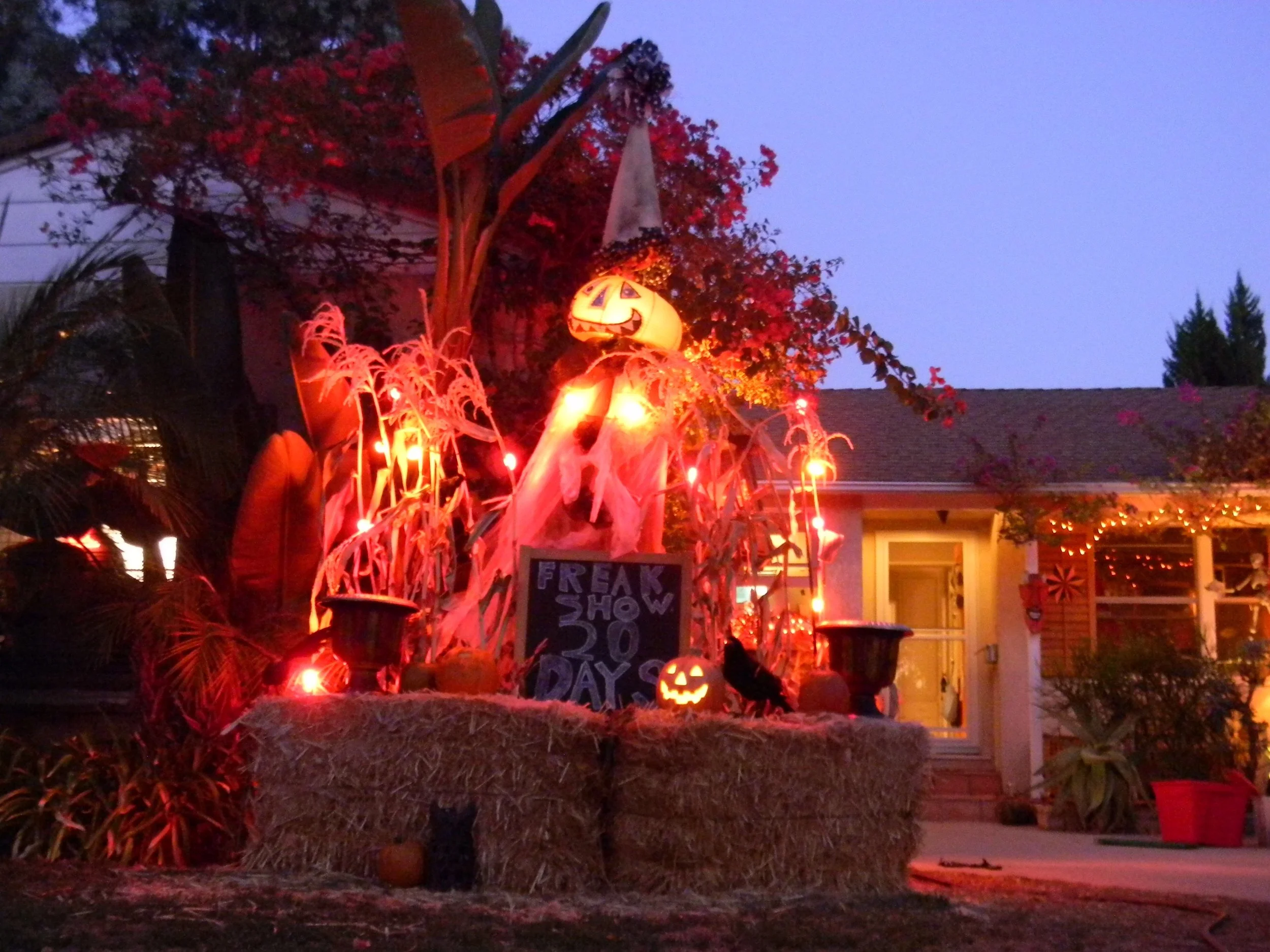 DSCN3098.jpg