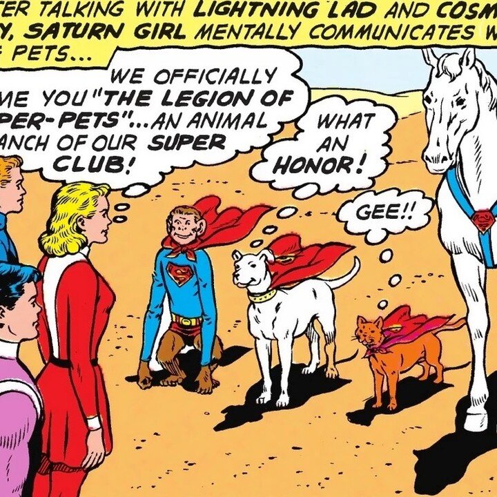 A lighthearted look at some of the animals of DC comics and the team they created, first in the Silver Age, then their current iteration, and other characters inspired by them in this latest Welcome to Geektown Episode.
https://www.welcome2geektown.c