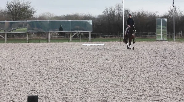 Screen+Shot+2019-05-08+at+13.52.14.jpg