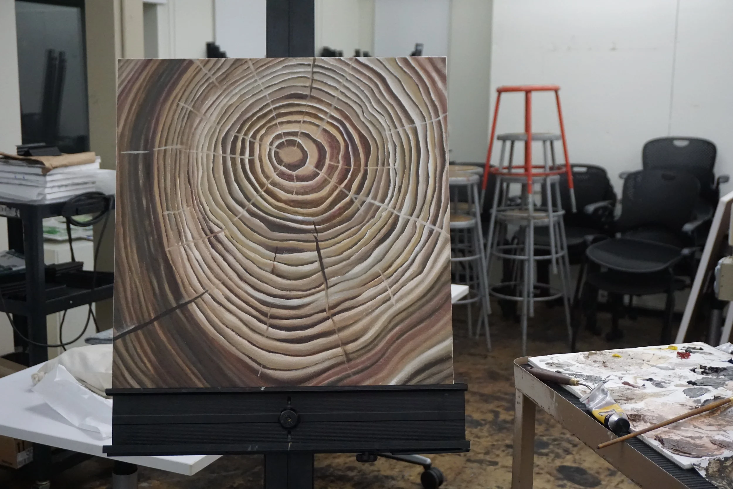 Tree Rings