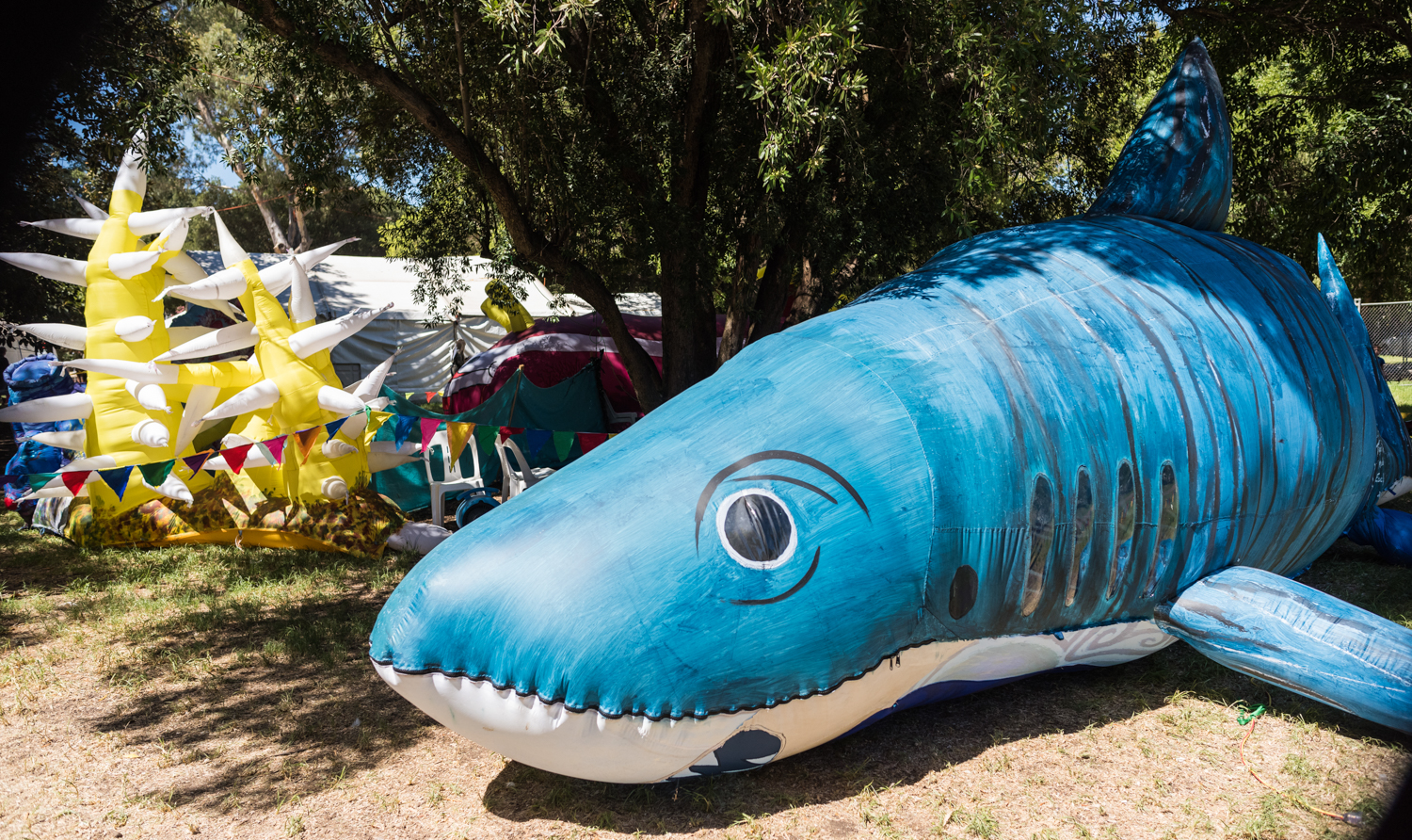 Big Shark inflatable.jpg