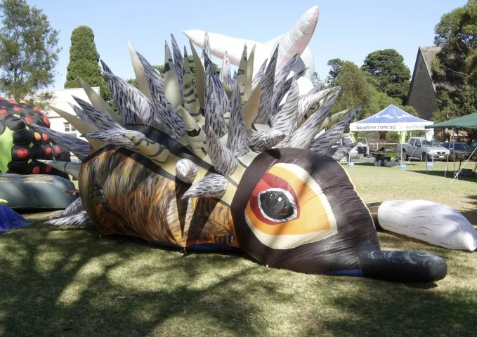 Echidna.jpg