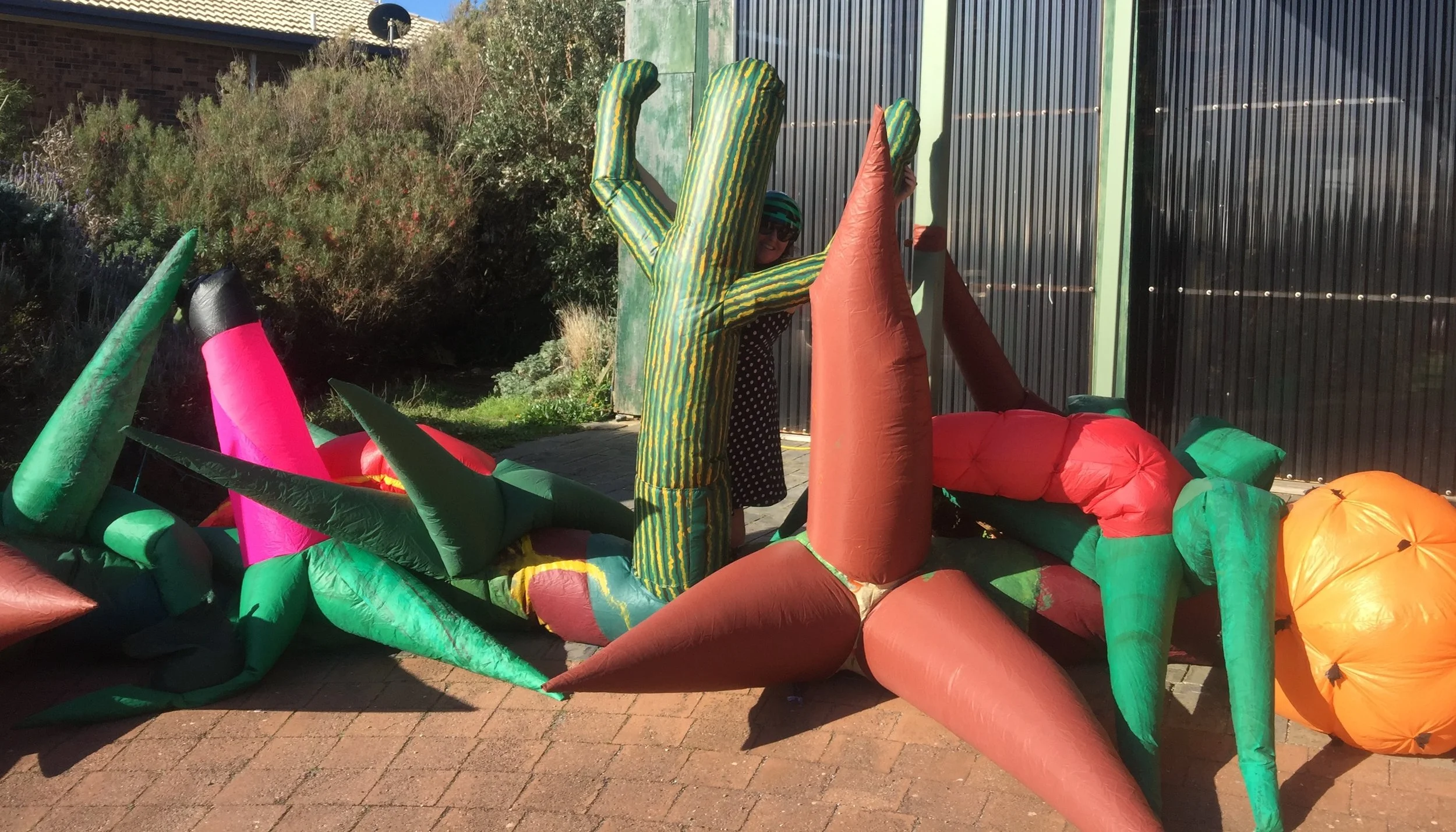 Bauble Cacti expertly handled by our lovely Ali & Mark