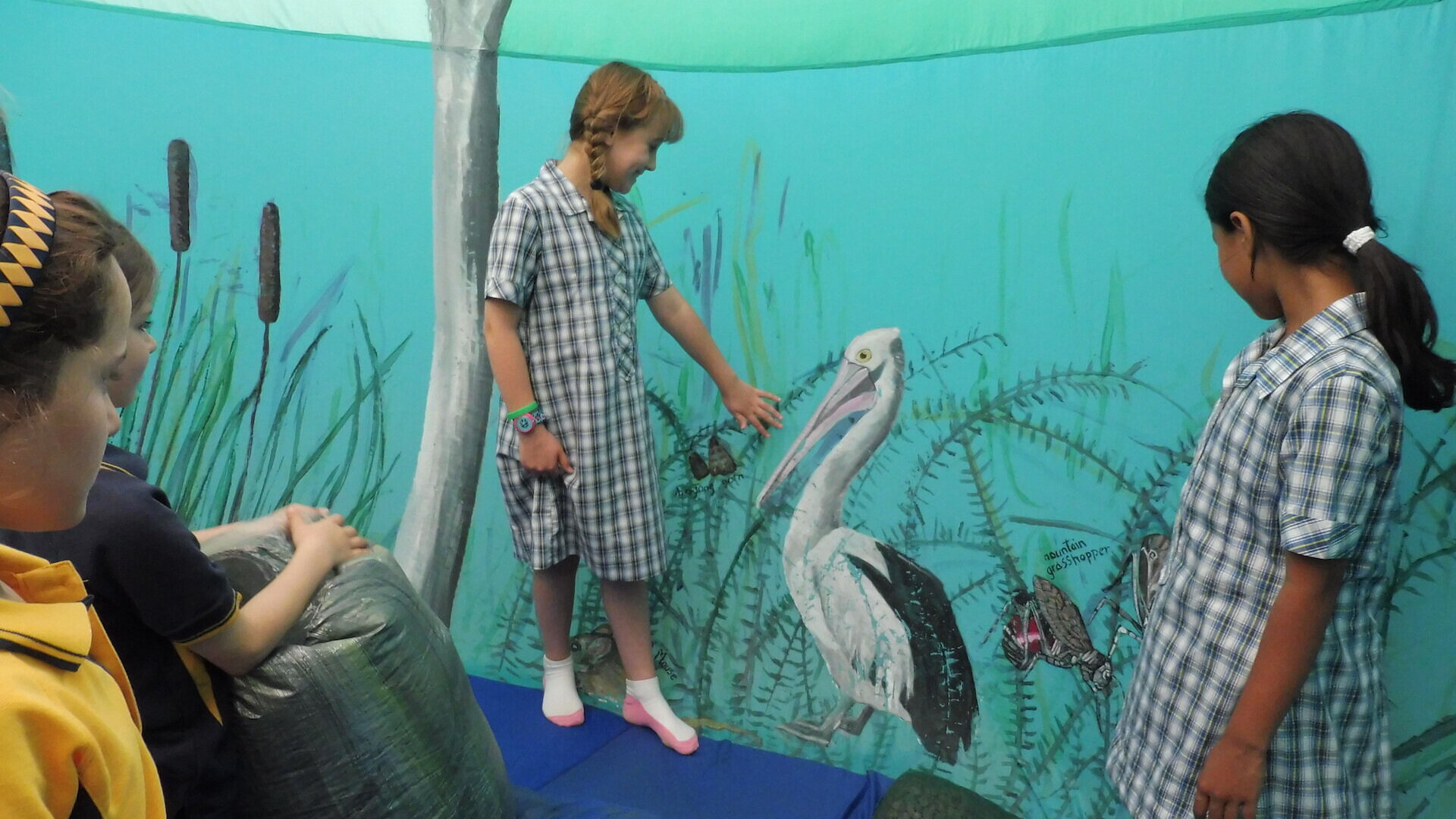 Murray+River+Maze+Pelican.jpg