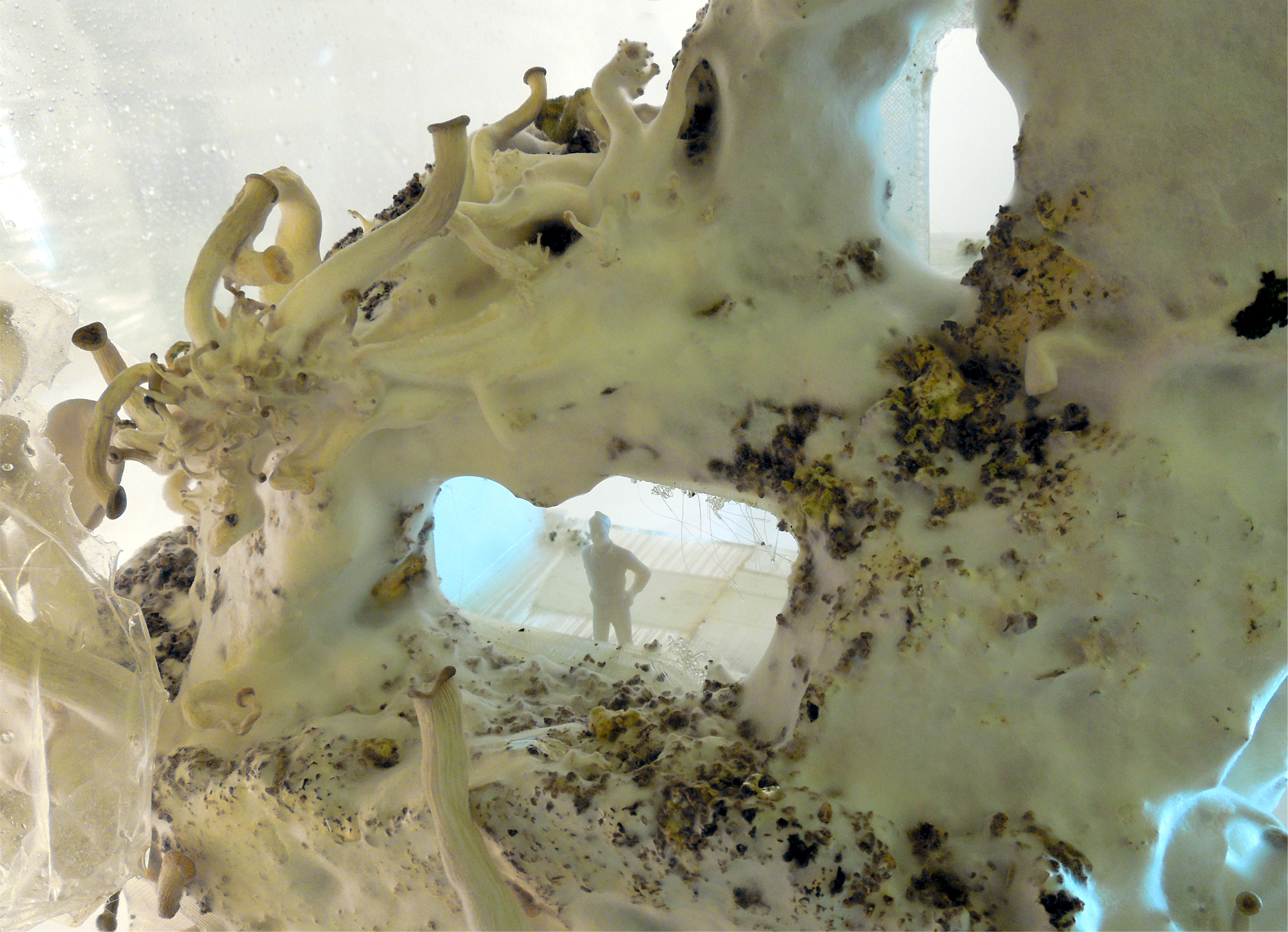Microbe-construction