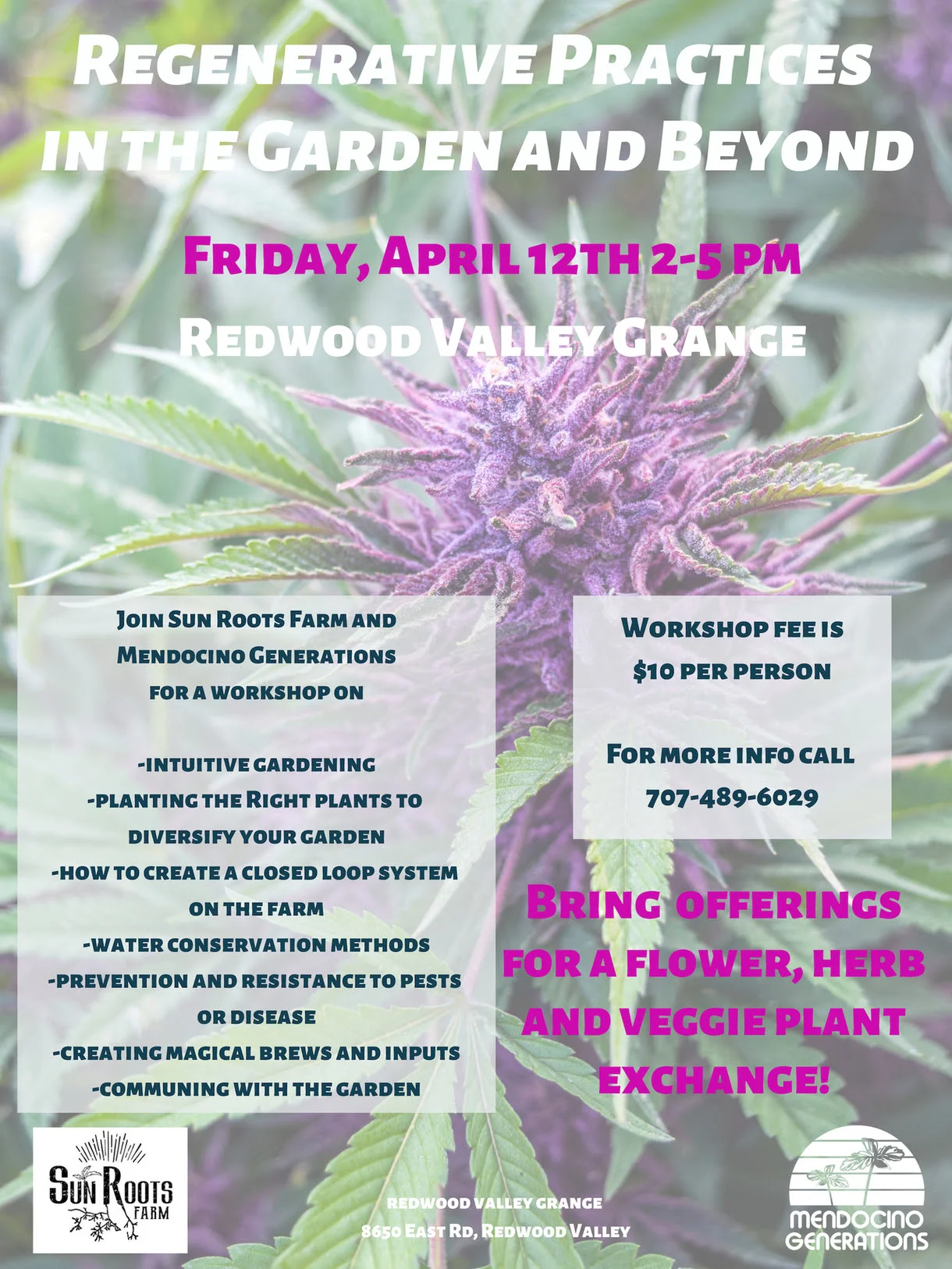 flyer.jpg