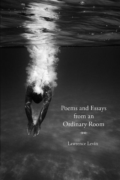 Cover for Poems and Essays from an Ordinary Room, produced in InDesign. Photograph by Wayne Levin .