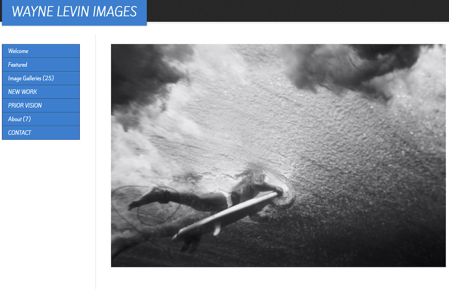 A screenshot of the homepage of Wayne's website. He also has an Instagram page , managed by his daughter, Elise, a singer living in NYC.