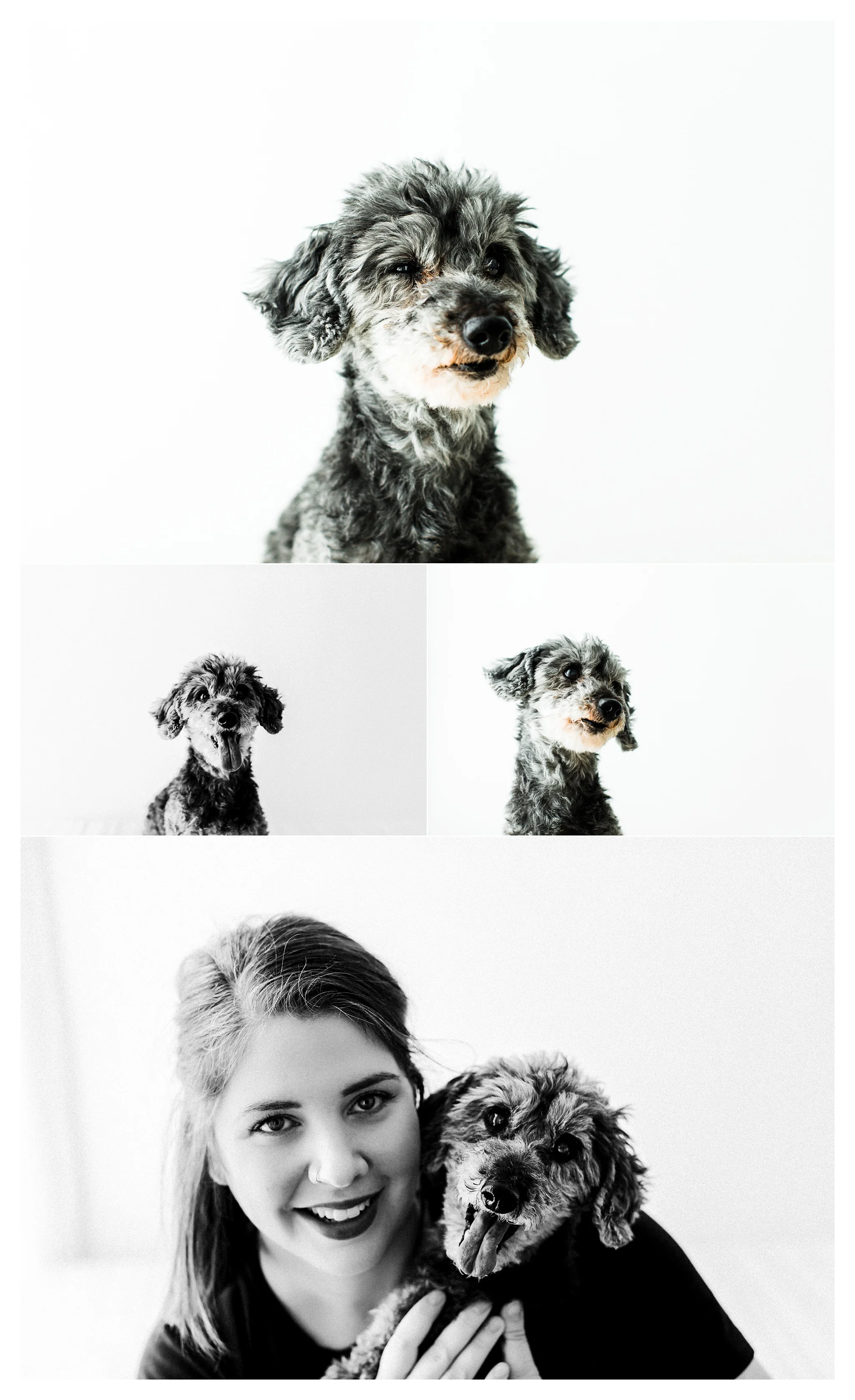 Pet Photography in Portland, Oregon Sommessa_2718.jpg