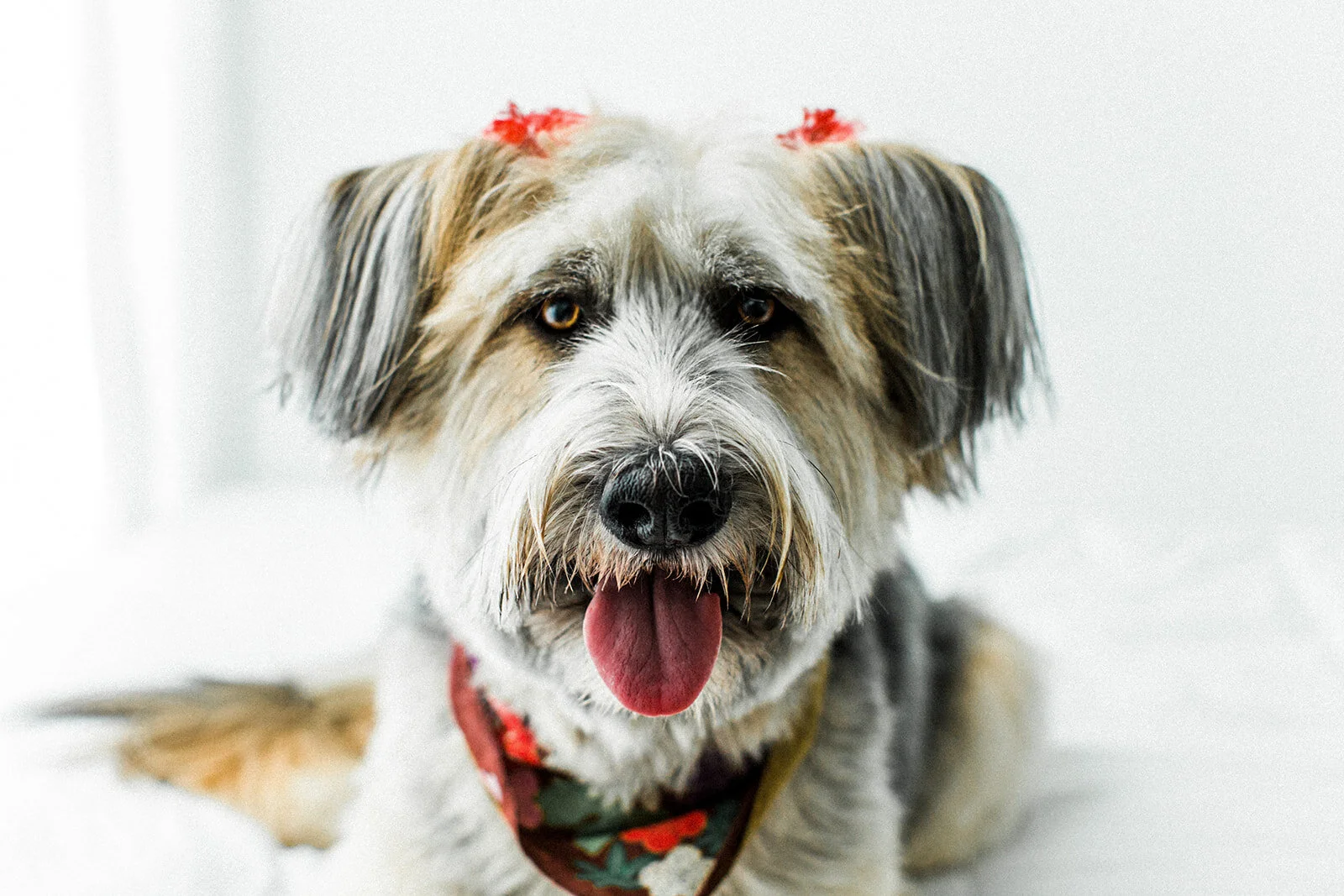 Ludo_Darby_PNW_Critter_Photography01.jpg